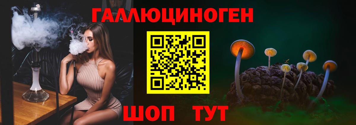 Галлюциногенные грибы Psilocybine cubensis  Сибай 